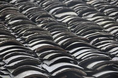 《森林之子》刷木头怎么刷？森林2无限刷木材BUG攻略